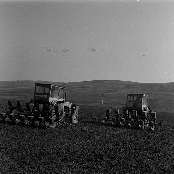 minerva_1981_c1_c1r2_018