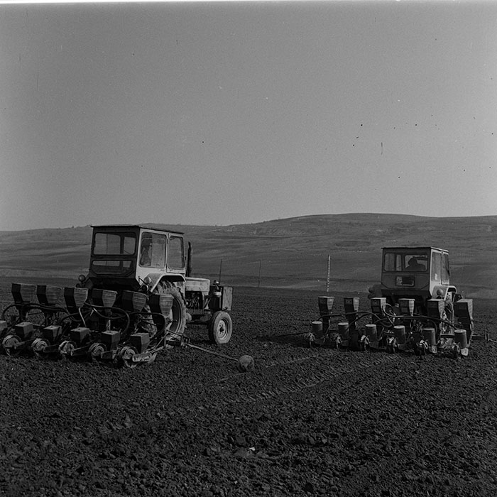 minerva_1981_c1_c1r2_019