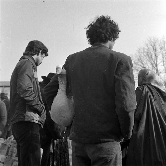 minerva_1982_c3_c10r1_010