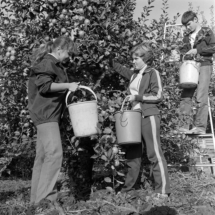 minerva_1982_c3_c1r1_009