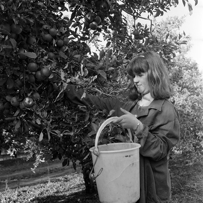 minerva_1982_c3_c1r1_012