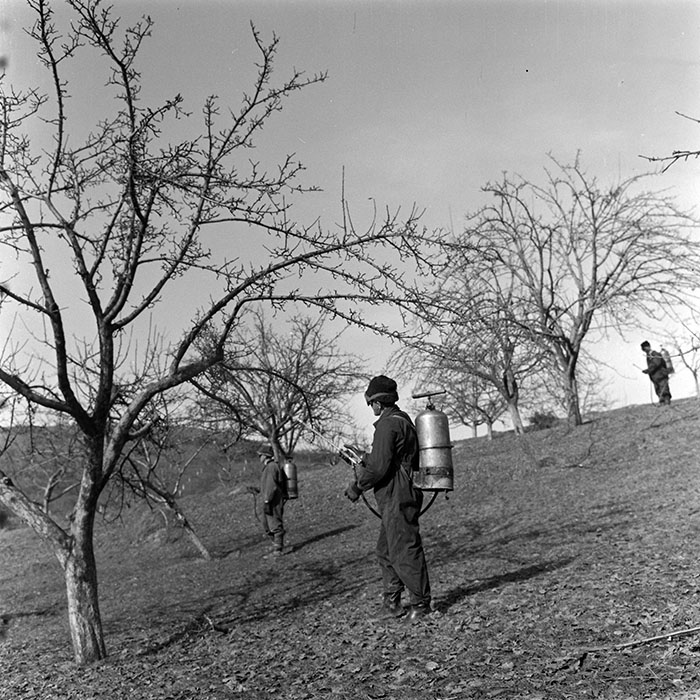 minerva_1982_c3_c1r1_013