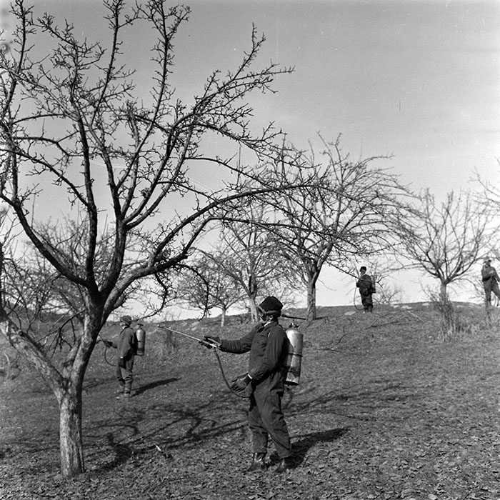 minerva_1982_c3_c1r1_014