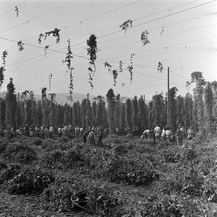 minerva_1982_c3_c1r1_020