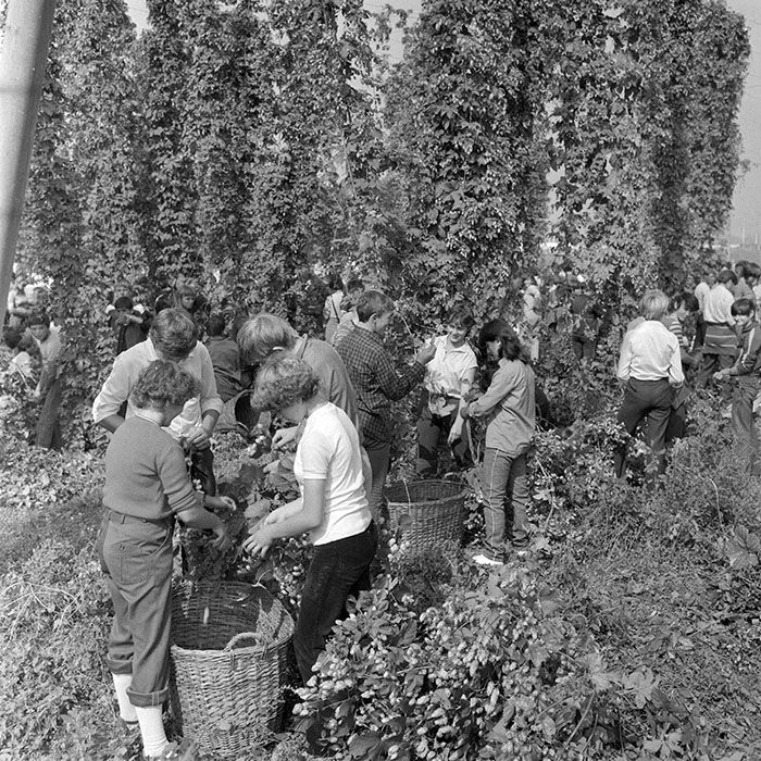 minerva_1982_c3_c1r1_021