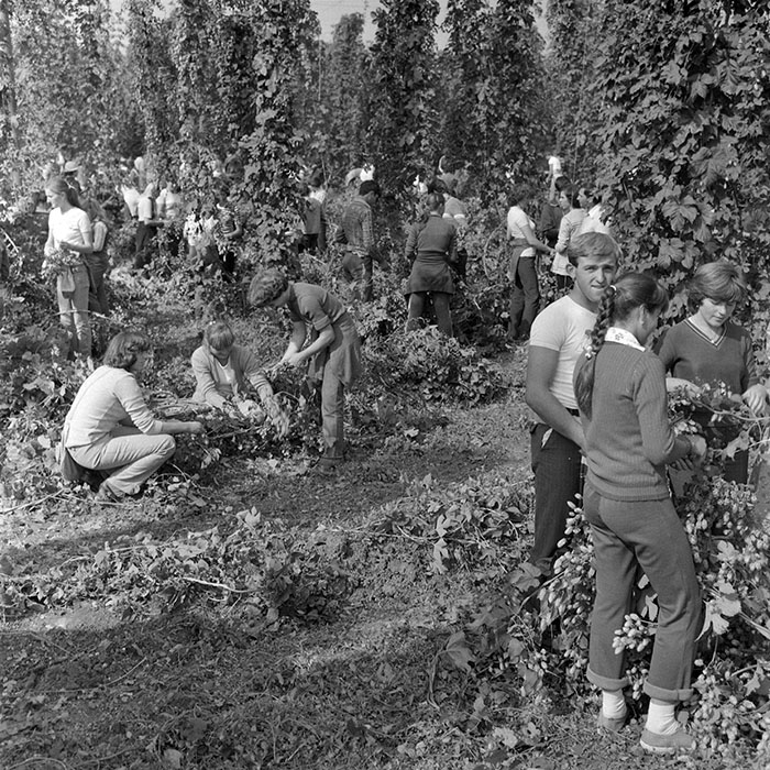 minerva_1982_c3_c1r1_022