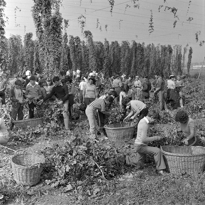 minerva_1982_c3_c1r1_023