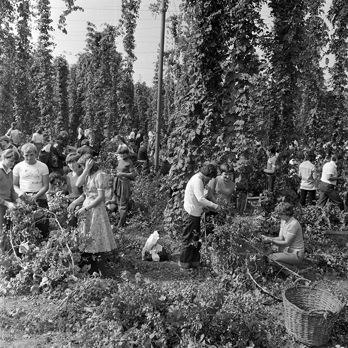 minerva_1982_c3_c1r1_024