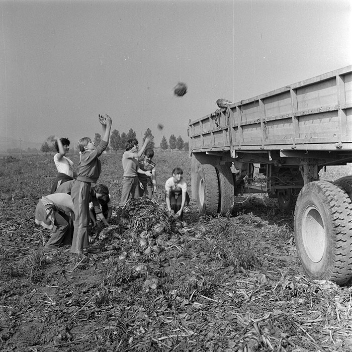 minerva_1982_c3_c1r1_025