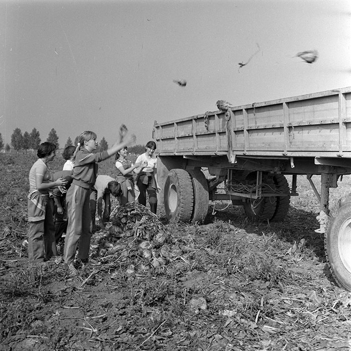 minerva_1982_c3_c1r1_026