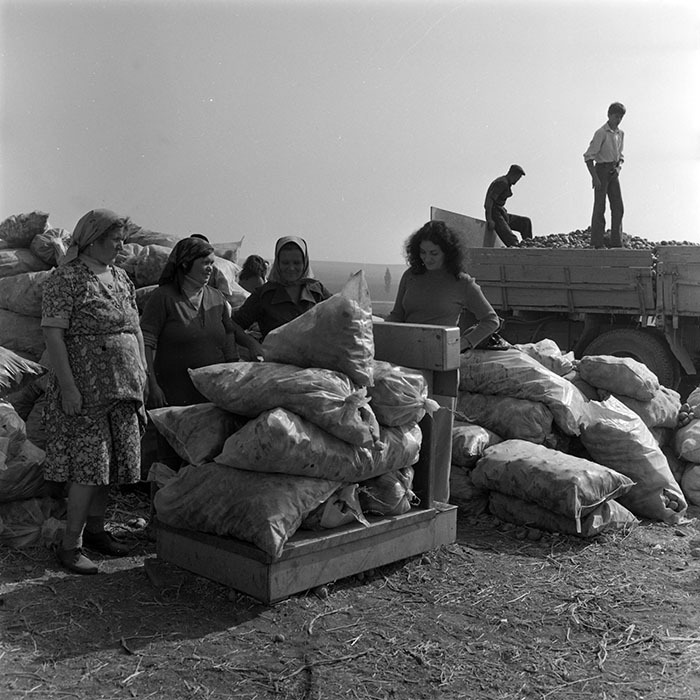 minerva_1982_c3_c1r2_002