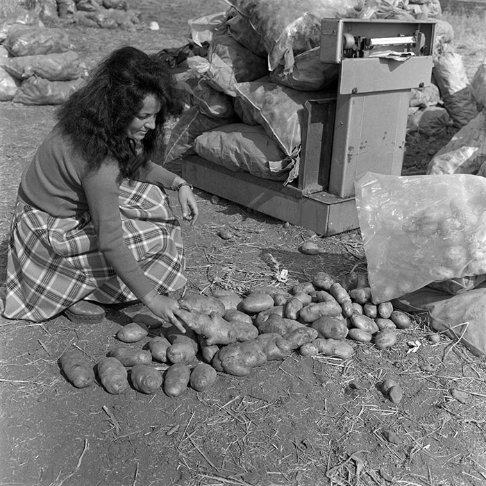 minerva_1982_c3_c1r2_004