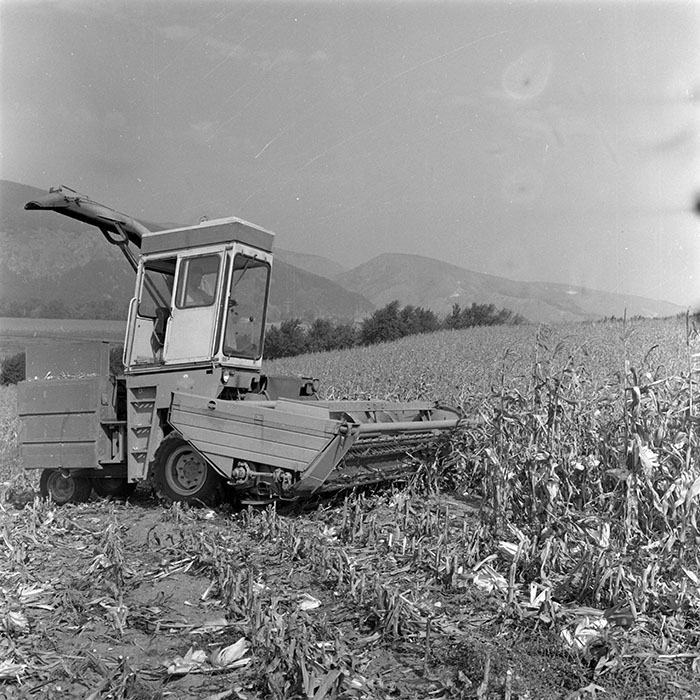 minerva_1982_c3_c1r2_006