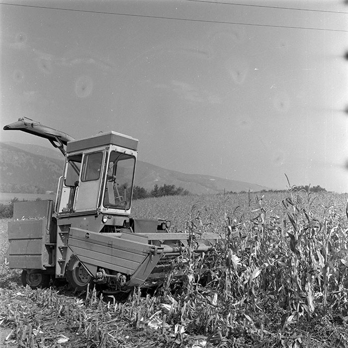 minerva_1982_c3_c1r2_007