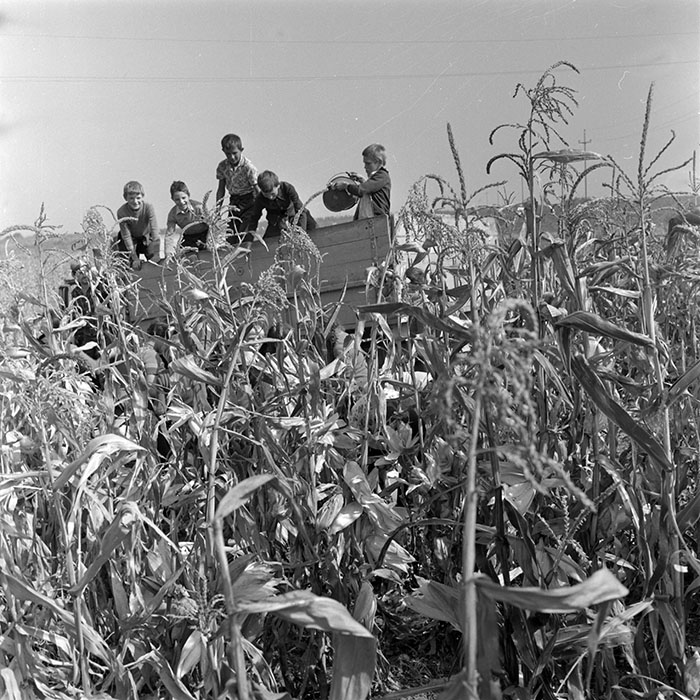 minerva_1982_c3_c1r2_008