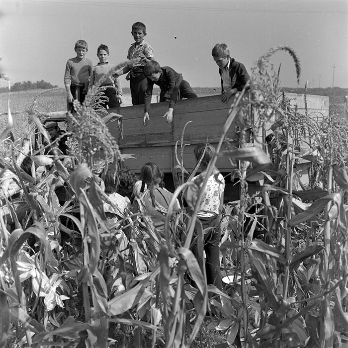 minerva_1982_c3_c1r2_009