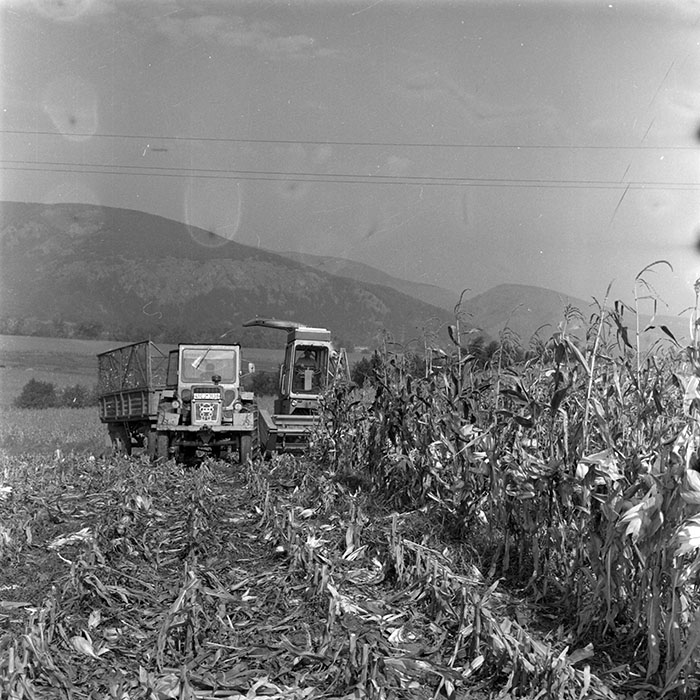 minerva_1982_c3_c1r2_010