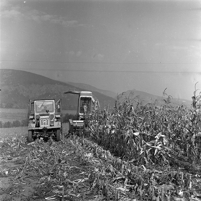 minerva_1982_c3_c1r2_011