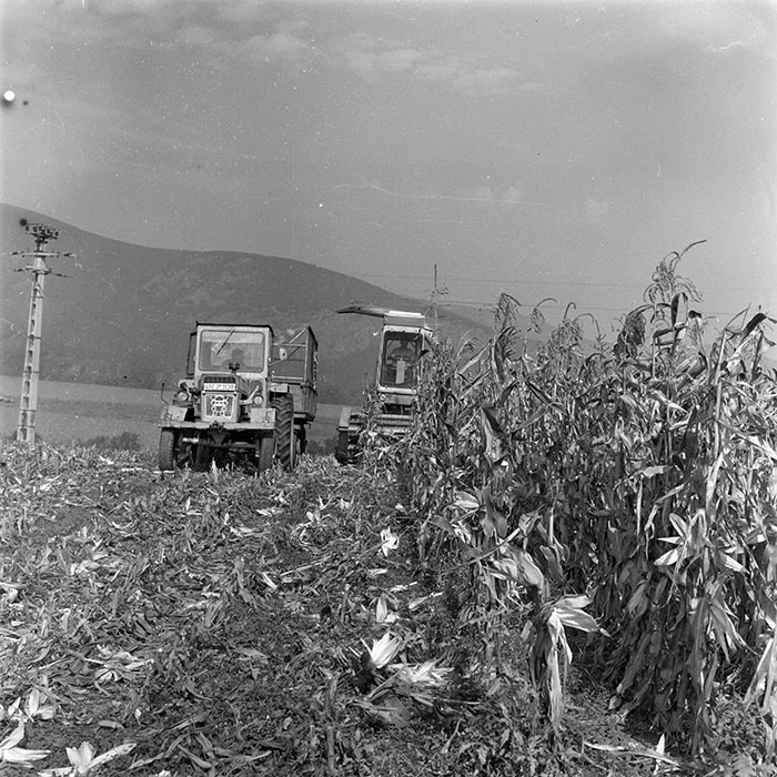 minerva_1982_c3_c1r2_012