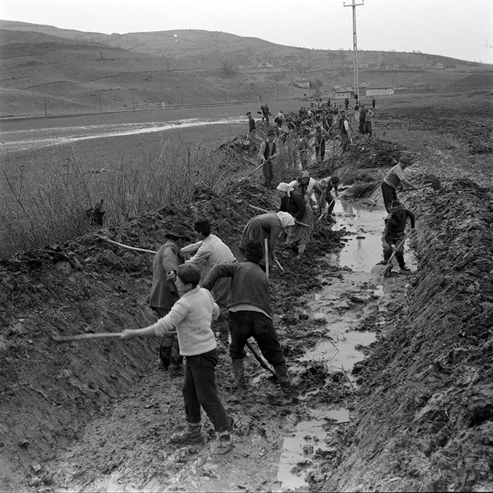 minerva_1982_c3_c1r2_014