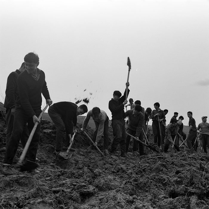 minerva_1982_c3_c1r2_017