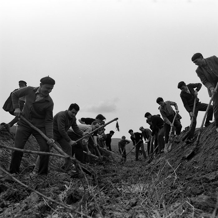 minerva_1982_c3_c1r2_019