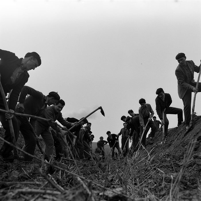 minerva_1982_c3_c1r2_020