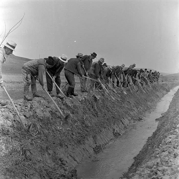 minerva_1982_c3_c1r2_028