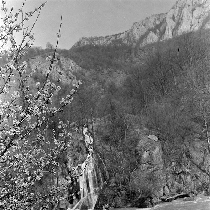 minerva_1982_c3_c1r2_034