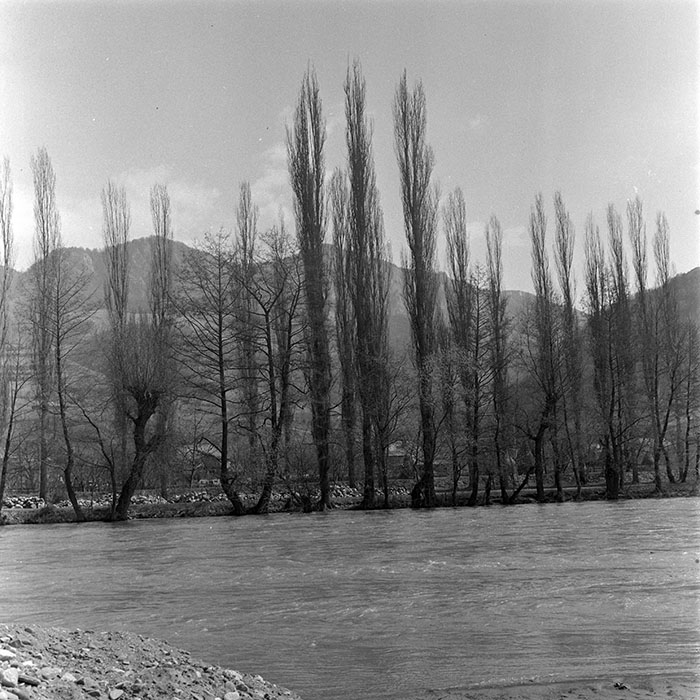 minerva_1982_c3_c1r2_036