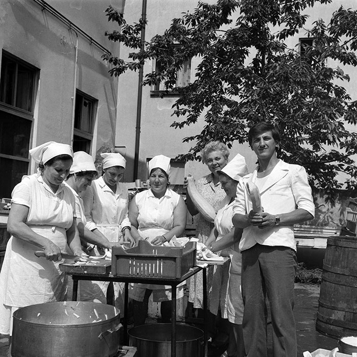 minerva_1982_c3_c1r5_011