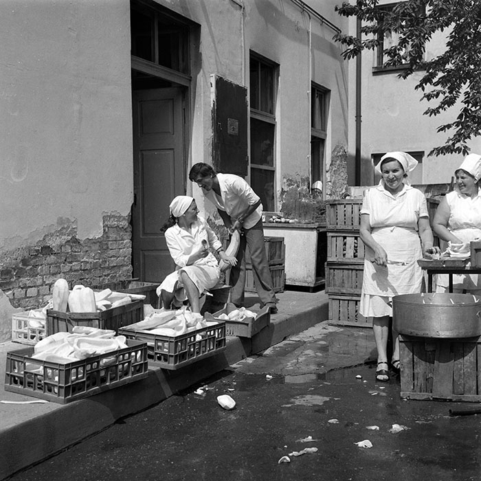 minerva_1982_c3_c1r5_012