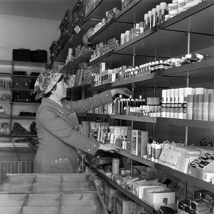 minerva_1982_c3_c2r1_011