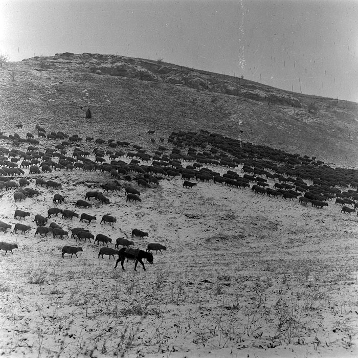 minerva_1982_c3_c2r1_014