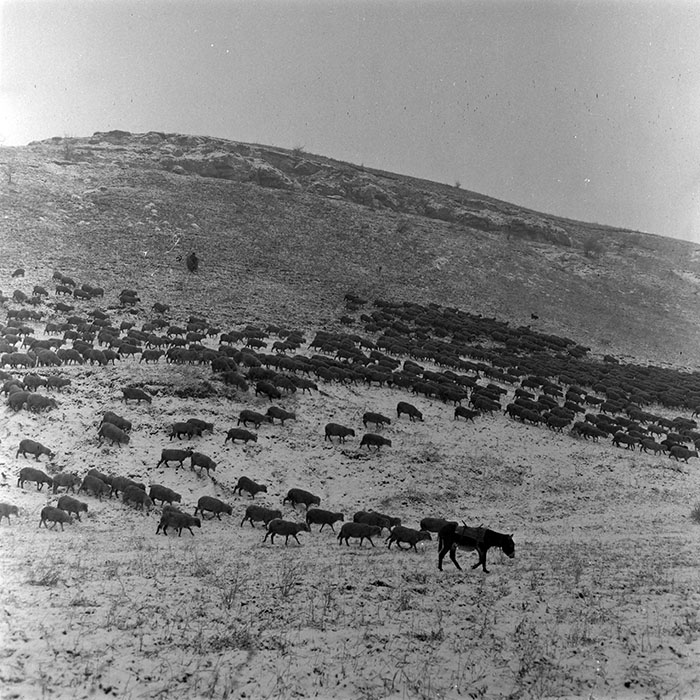 minerva_1982_c3_c2r1_015