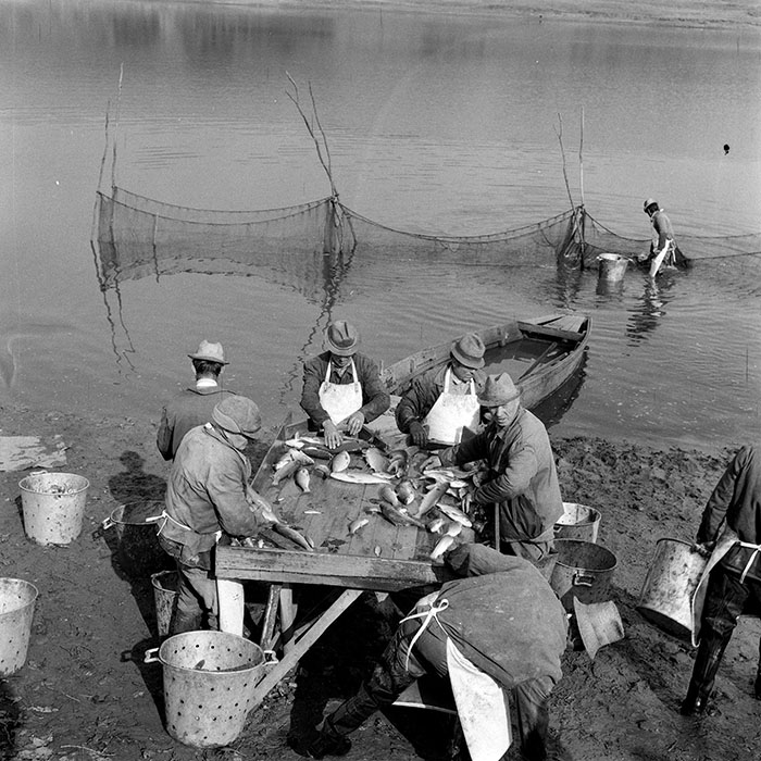 minerva_1982_c3_c2r2_004