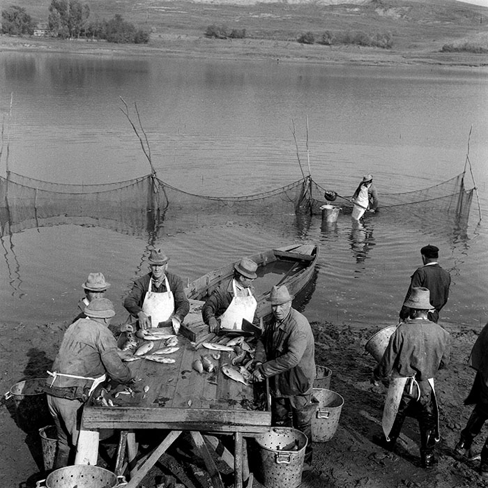 minerva_1982_c3_c2r2_005