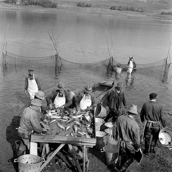 minerva_1982_c3_c2r2_006