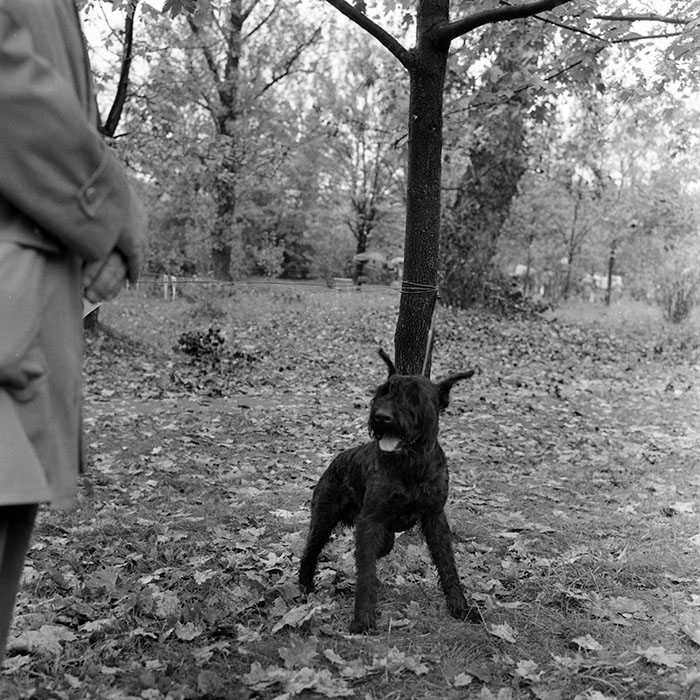 minerva_1982_c3_c2r3_007