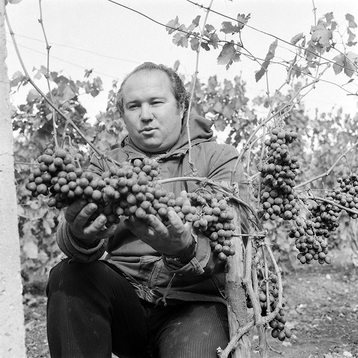 minerva_1982_c3_c2r5_001