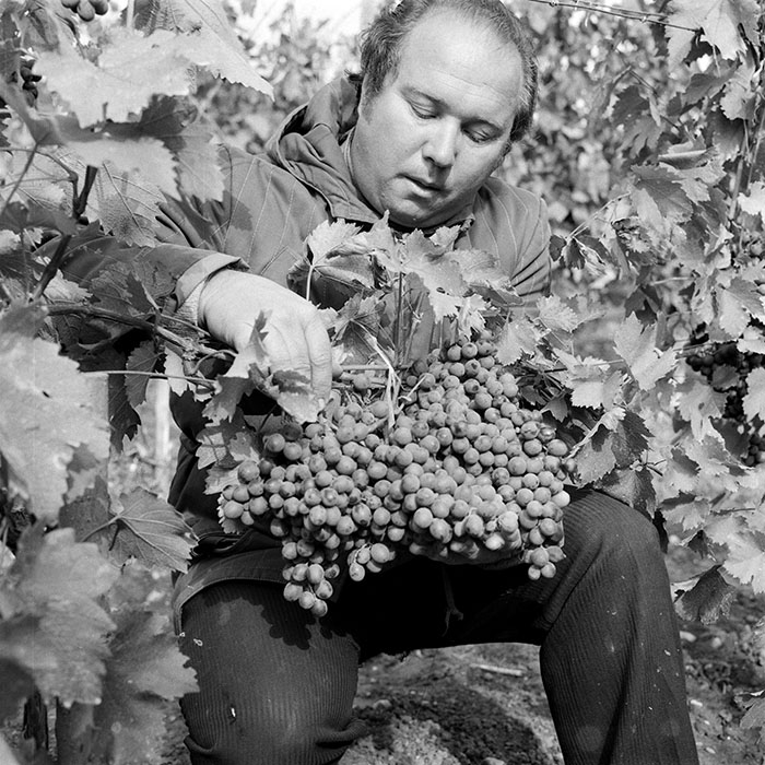 minerva_1982_c3_c2r5_002