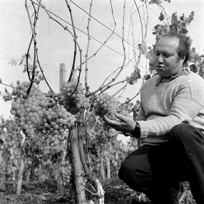 minerva_1982_c3_c2r5_003