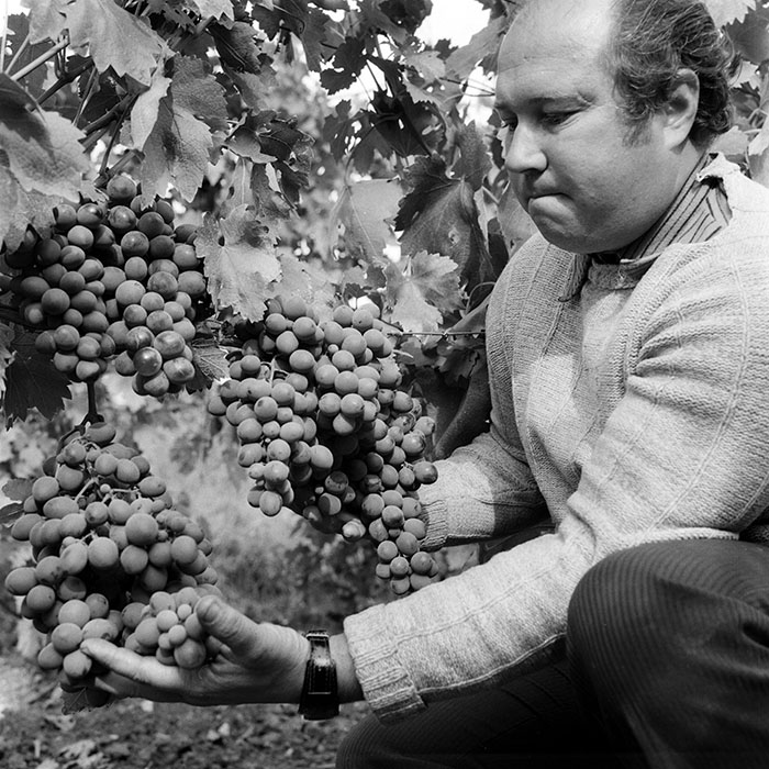 minerva_1982_c3_c2r5_004