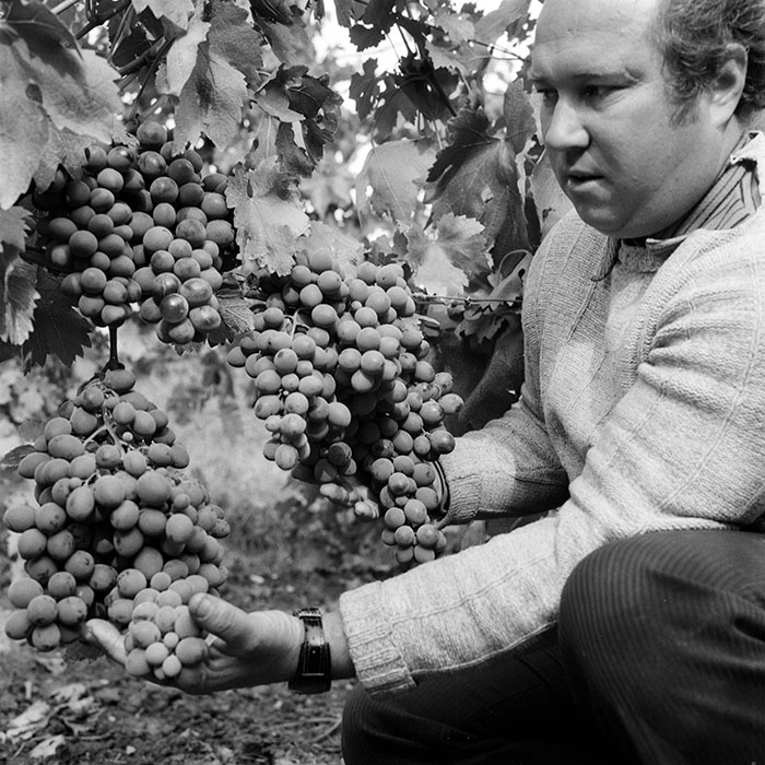 minerva_1982_c3_c2r5_005