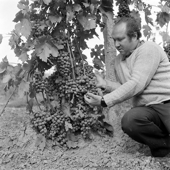 minerva_1982_c3_c2r5_006