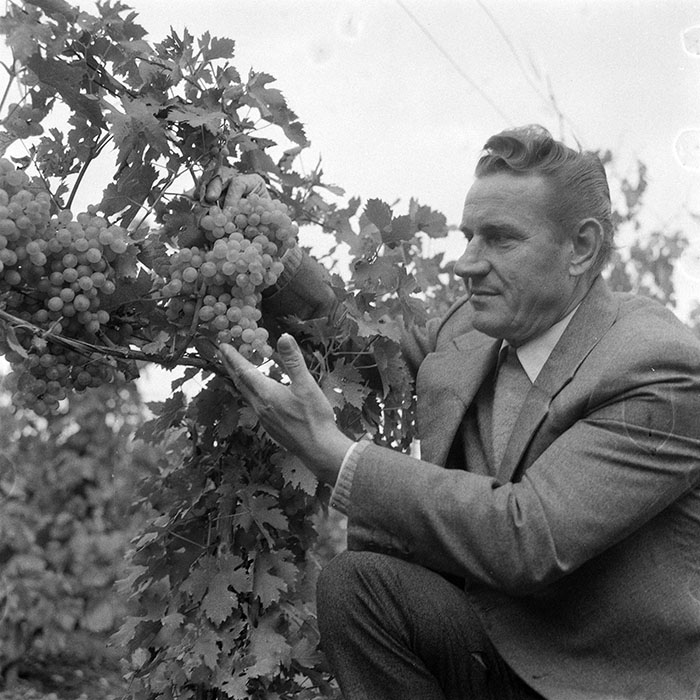 minerva_1982_c3_c2r5_008