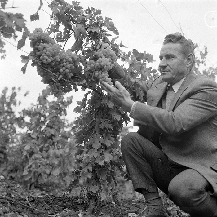 minerva_1982_c3_c2r5_009