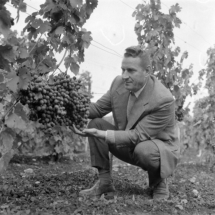 minerva_1982_c3_c2r5_010