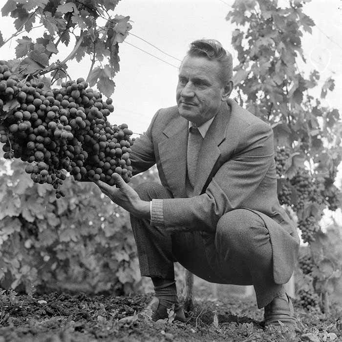 minerva_1982_c3_c2r5_011