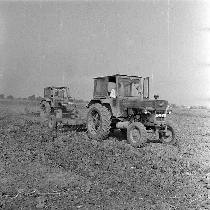 minerva_1982_c3_c3r1_003